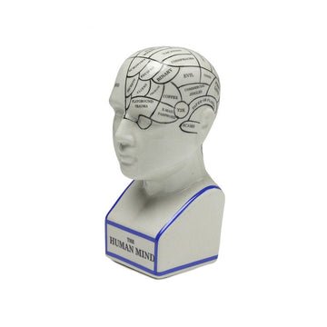 The Phrenology - M